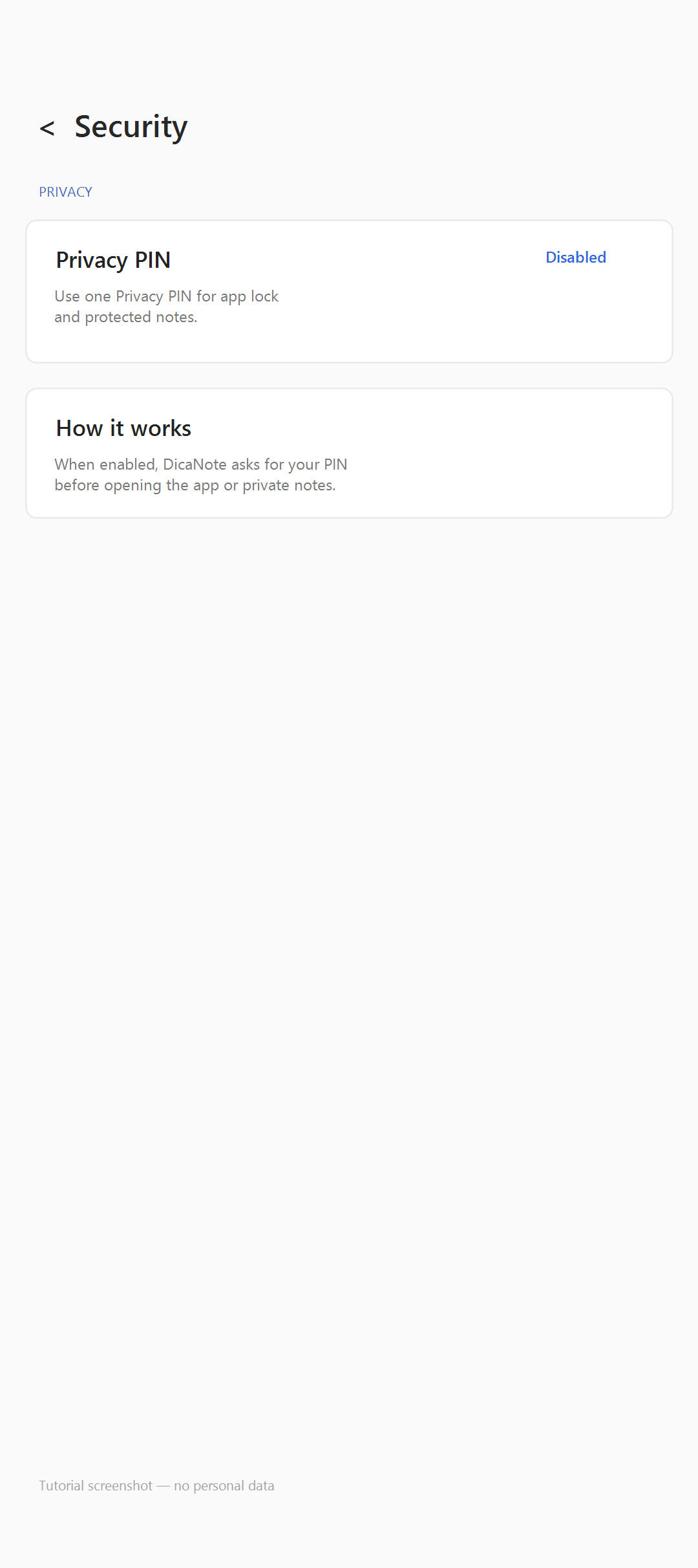 Security screen with Privacy PIN Disabled — tutorial capture without personal data
